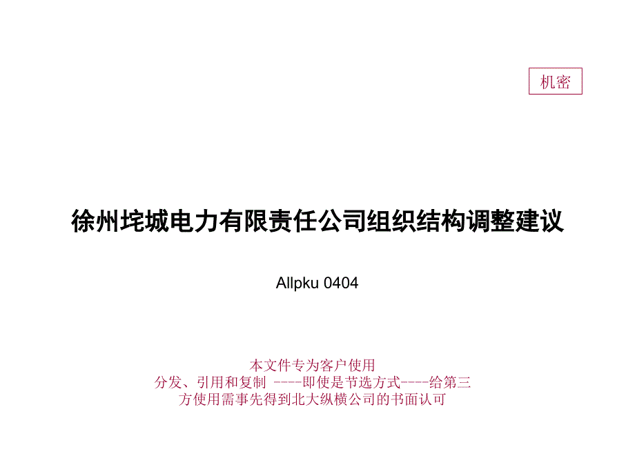 2019年电力公司组织结构调整建议报告_第2页