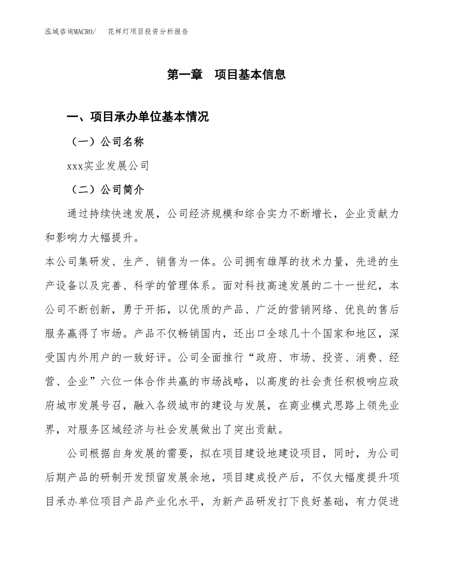 花样灯项目投资分析报告（总投资11000万元）（61亩）_第2页