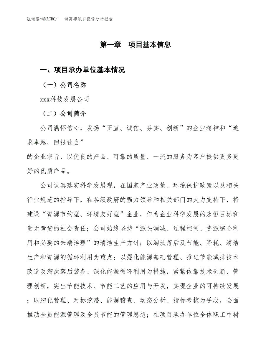 游离棒项目投资分析报告（总投资10000万元）（45亩）_第2页