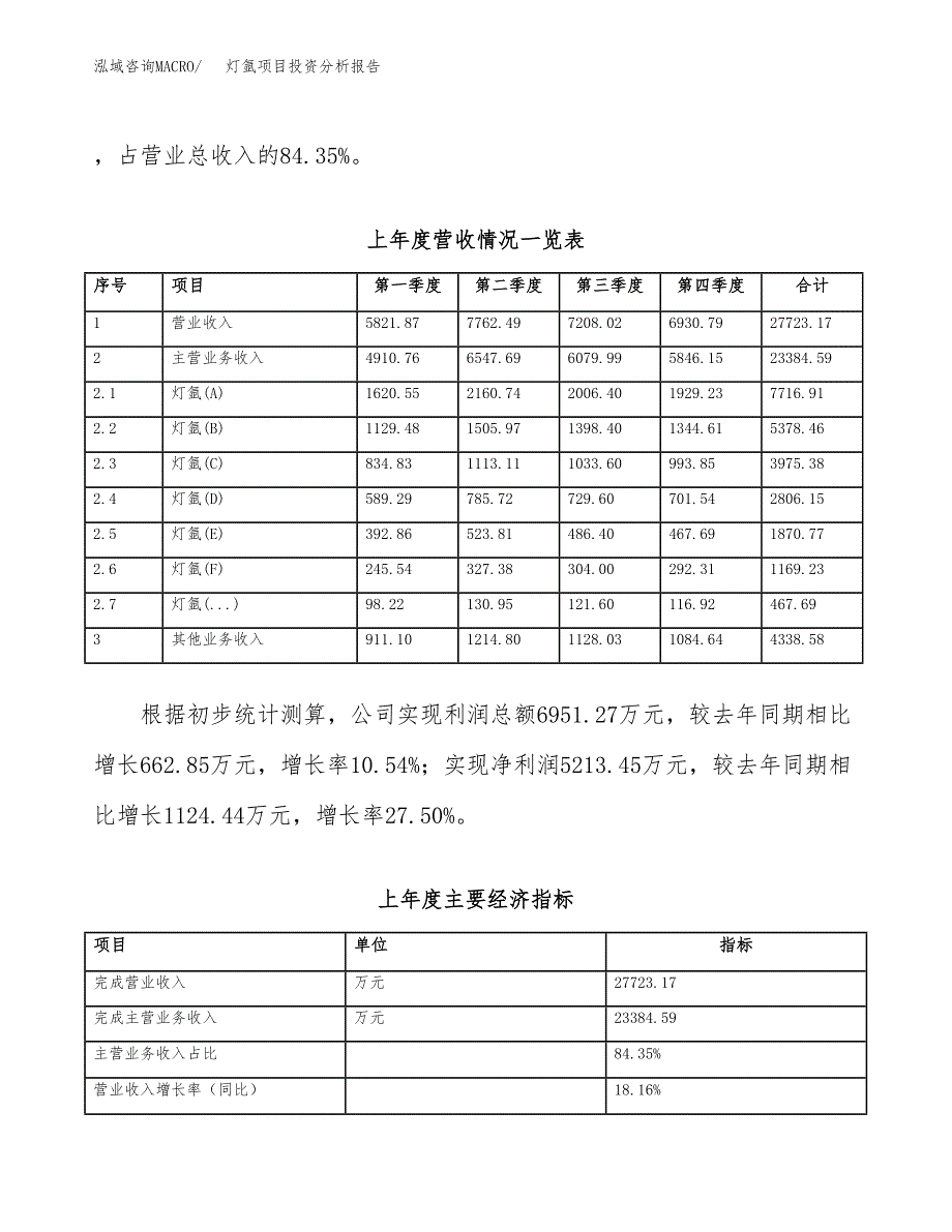 灯氩项目投资分析报告（总投资16000万元）（71亩）_第3页