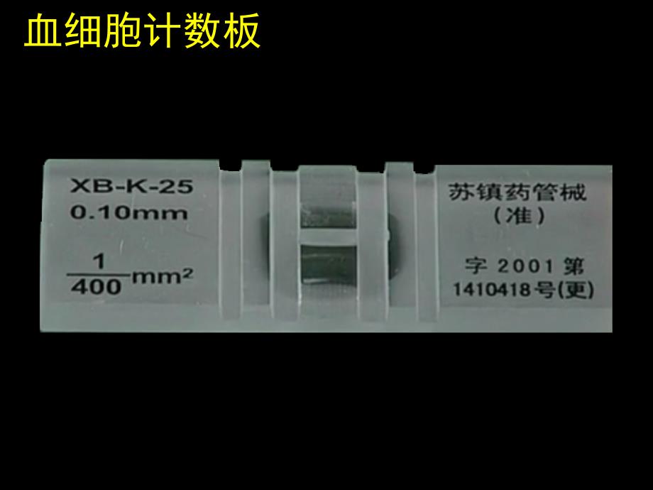 酵母菌种群数量的变化讲述_第3页