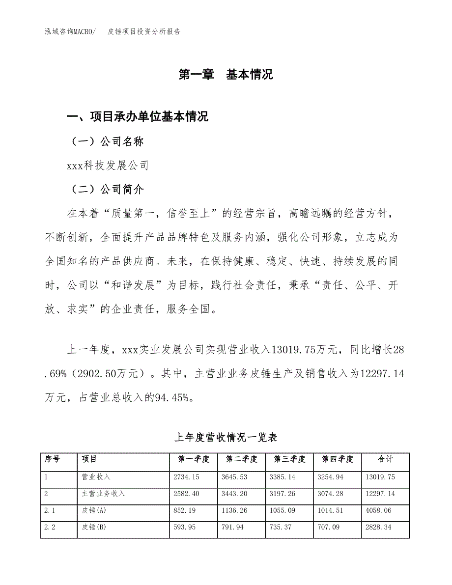 皮锤项目投资分析报告（总投资13000万元）（52亩）_第2页