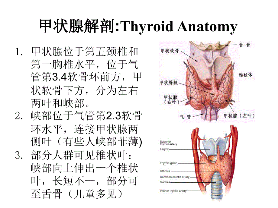 甲状腺结节超声规范化诊断_第2页