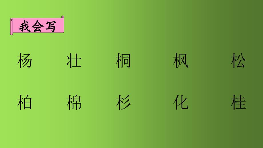 二年级语文上册课件 -识字2树之歌 人教部编版(共18张PPT)_第4页