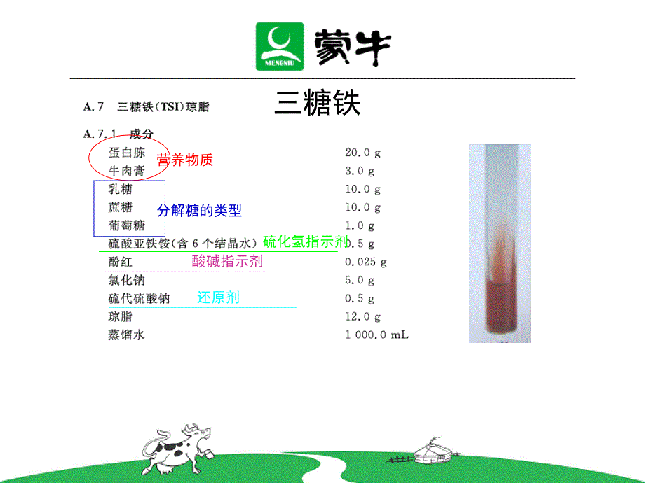 微生物检测生化试验详解_第4页