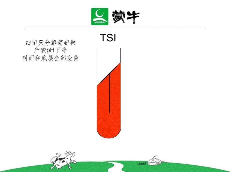 微生物检测生化试验详解_第5页