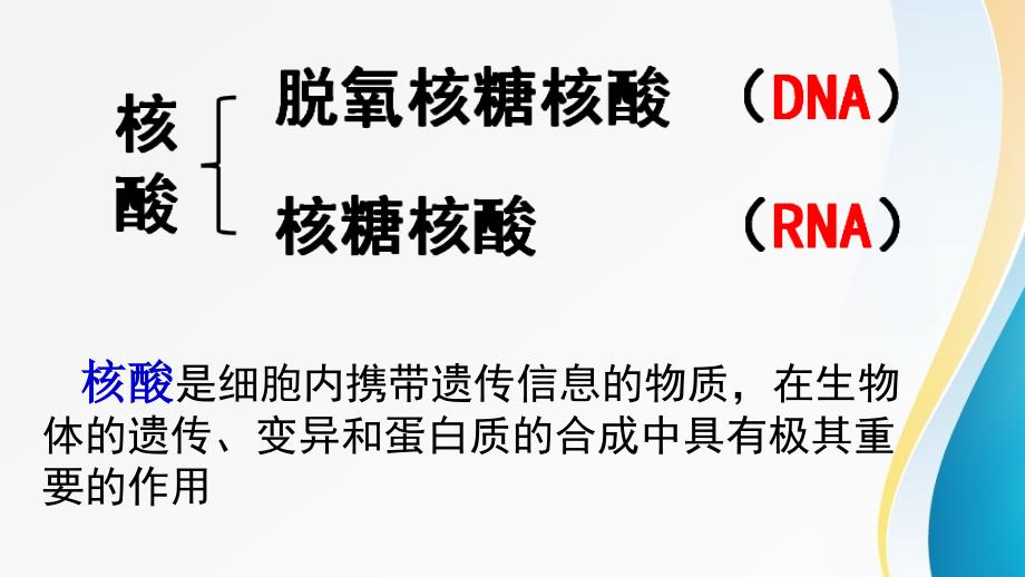 高中生物必修一--2.3遗传信息的携带者-核酸_第4页