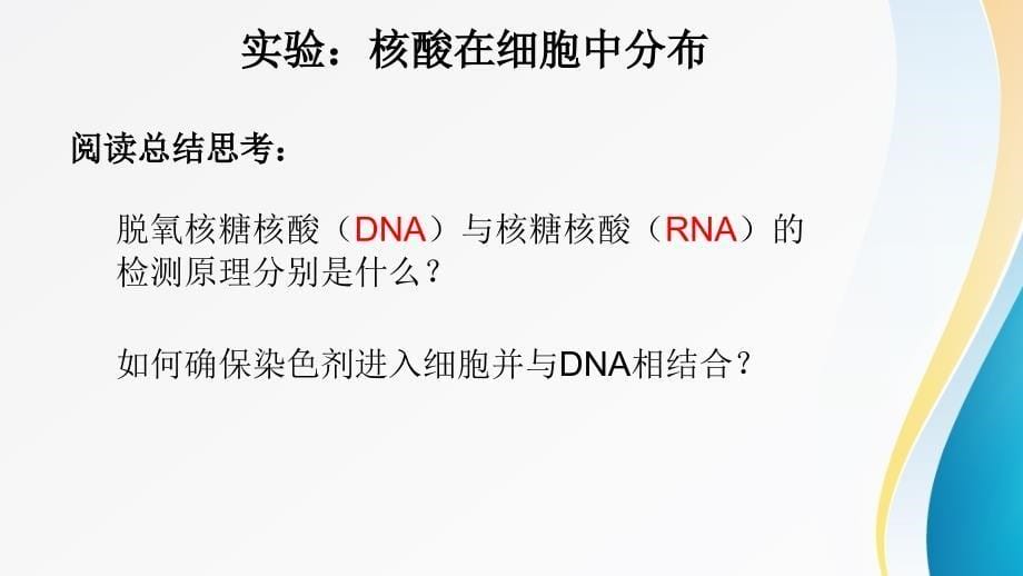 高中生物必修一--2.3遗传信息的携带者-核酸_第5页