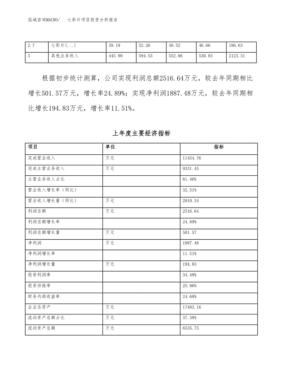 七彩片项目投资分析报告（总投资10000万元）（46亩）_第3页