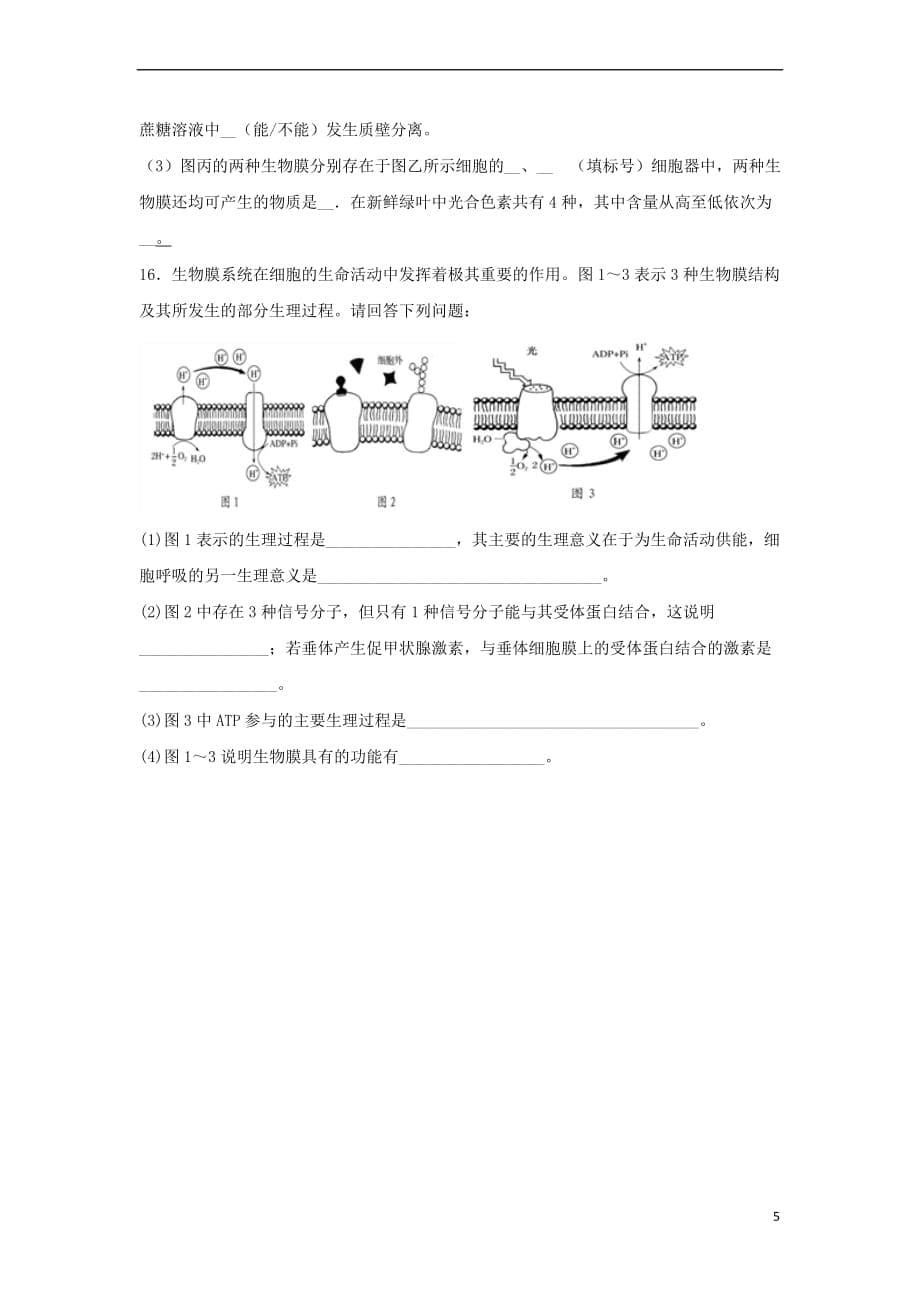 高三生物一轮复习-第5讲 细胞膜与细胞核4专题练 新人教版_第5页