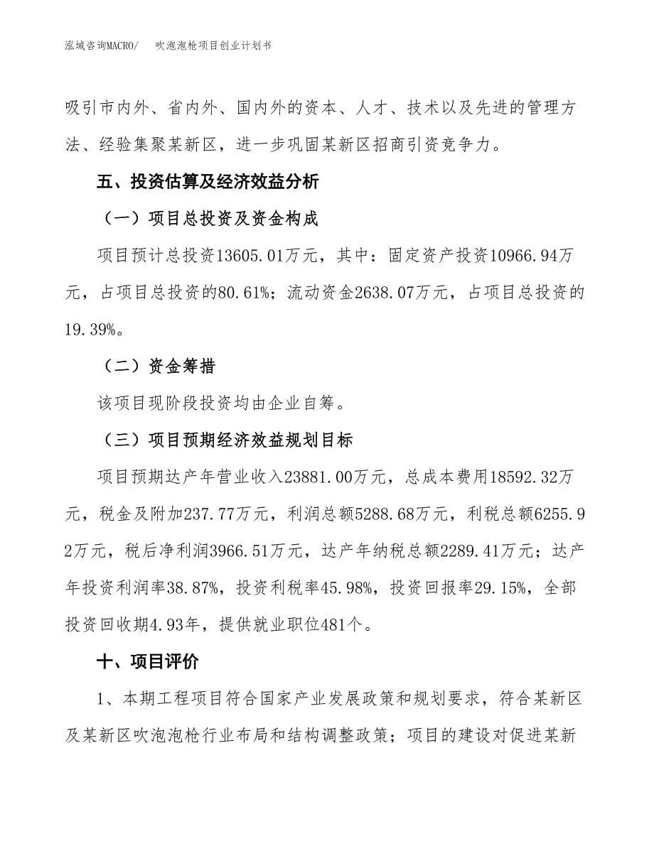 吹泡泡枪项目创业计划书(参考模板).docx_第5页