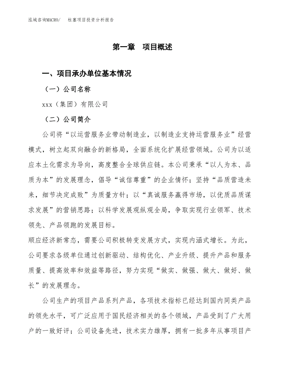 柱塞项目投资分析报告（总投资13000万元）（54亩）_第2页