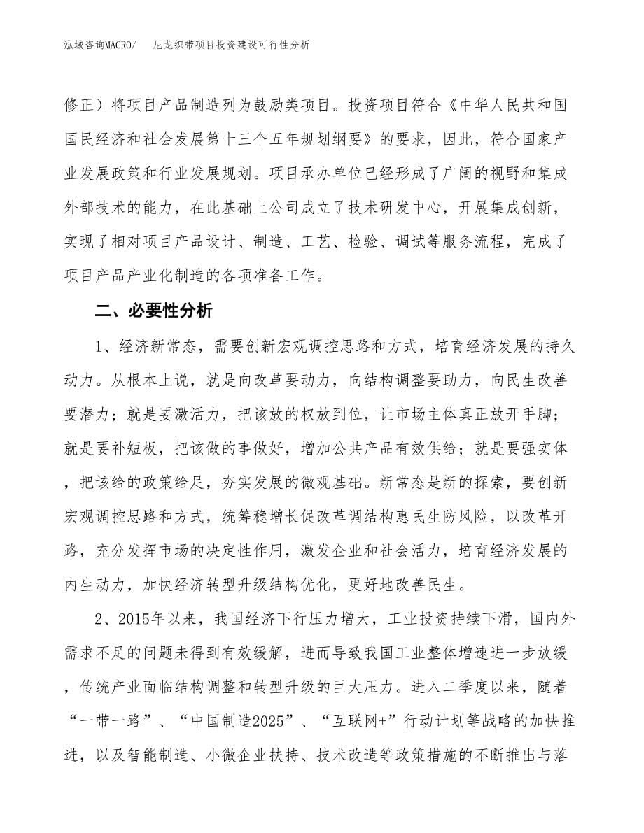 尼龙织带项目投资建设可行性分析.docx_第5页