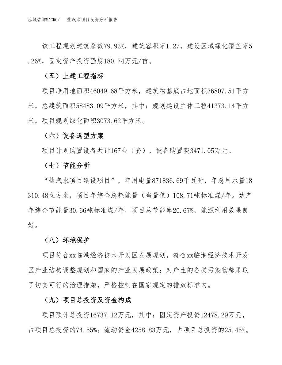 盐汽水项目投资分析报告（总投资17000万元）（69亩）_第5页