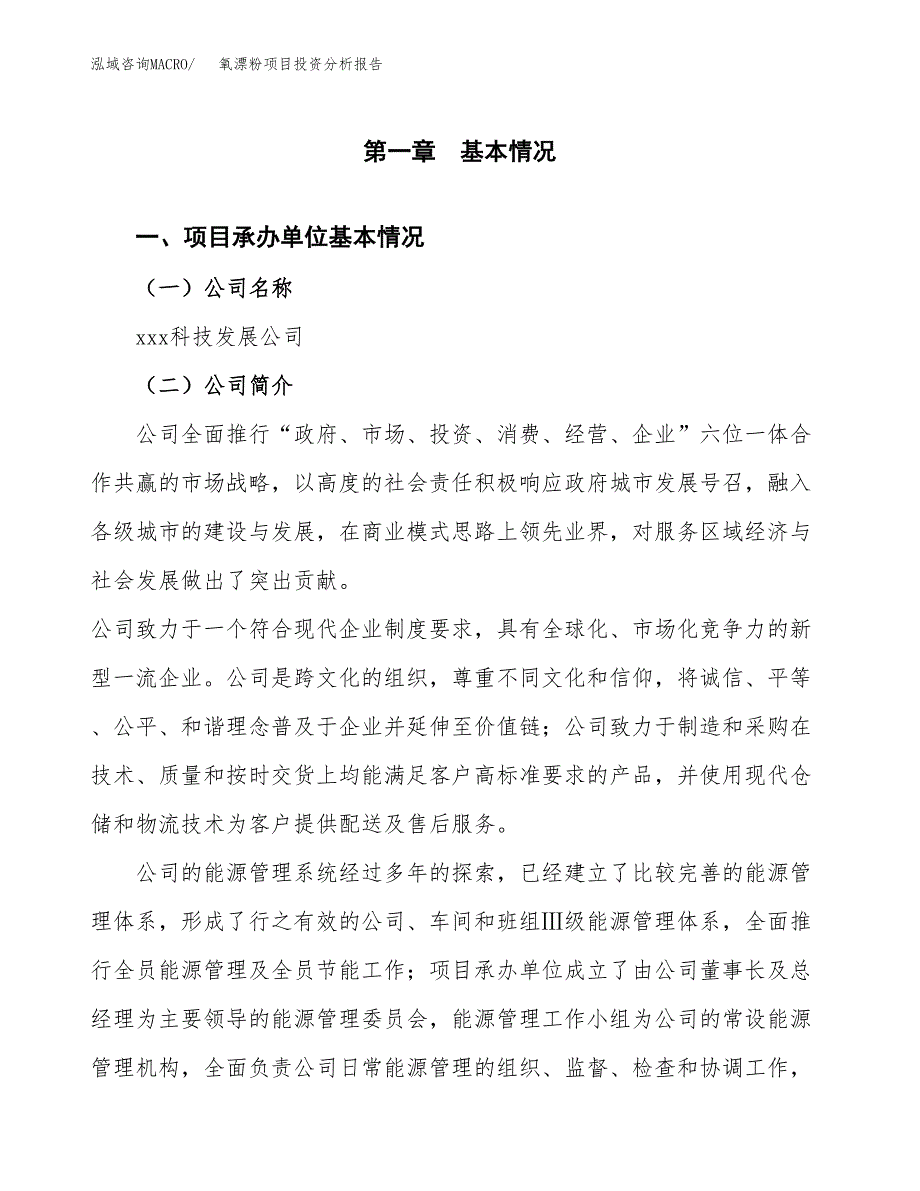 氧漂粉项目投资分析报告（总投资15000万元）（61亩）_第2页