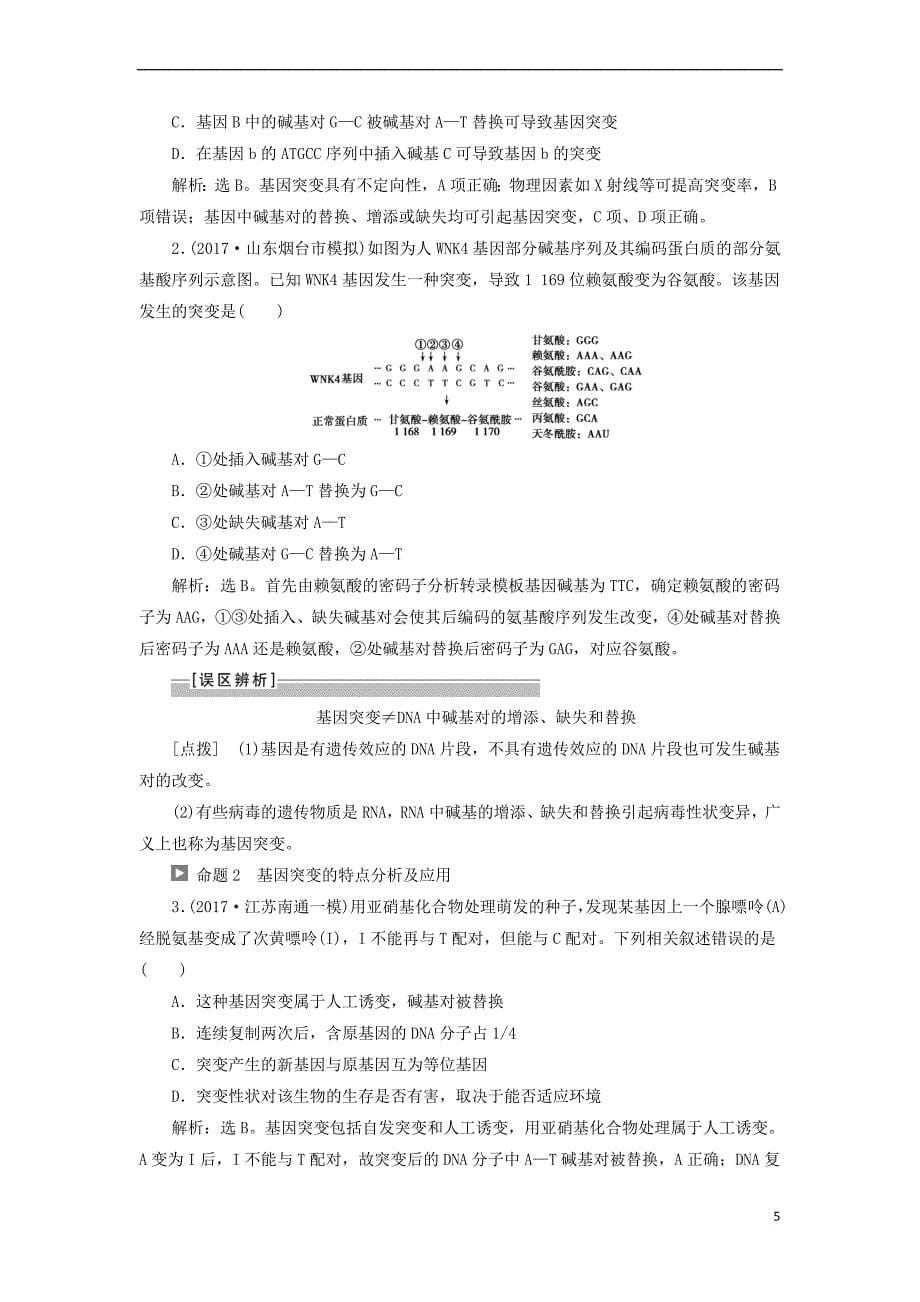 （全国）2018版高考生物大一轮复习 第七单元 生物的变异、育种和进化 第25讲 基因突变和基因重组学案_第5页