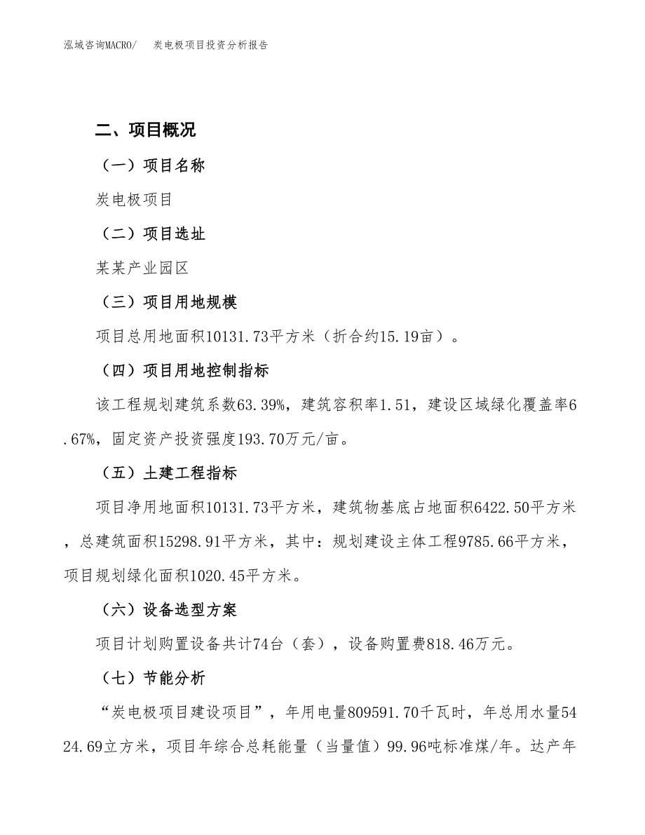 炭电极项目投资分析报告（总投资4000万元）（15亩）_第5页