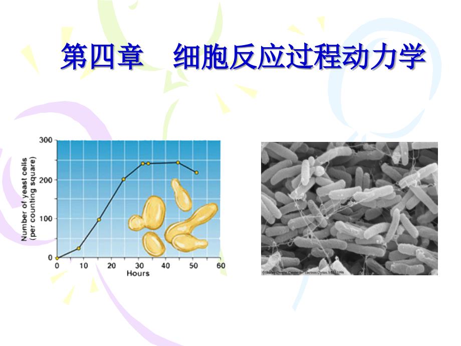 生化工程,4细胞反应动力学._第1页