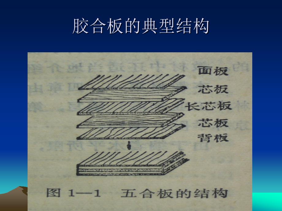 第一章 胶合板及其物理力学性能资料_第2页