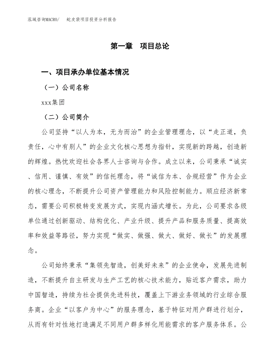 蛇皮袋项目投资分析报告（总投资4000万元）（13亩）_第2页