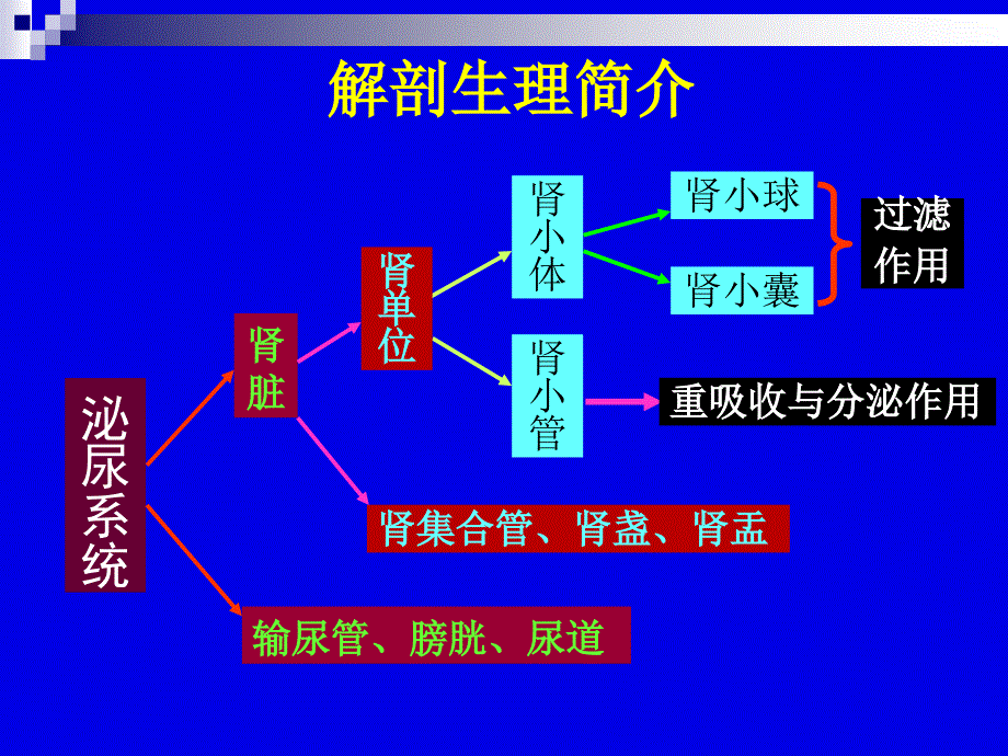 核医学2016年下泌尿生殖系统显像_第4页