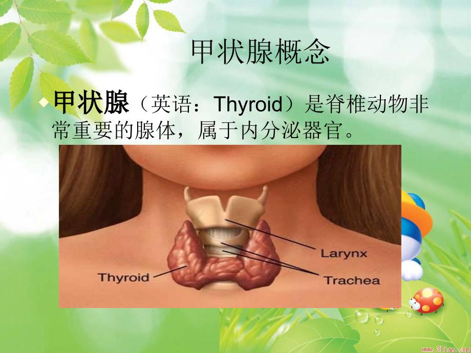 甲状腺围手术期护理资料_第2页