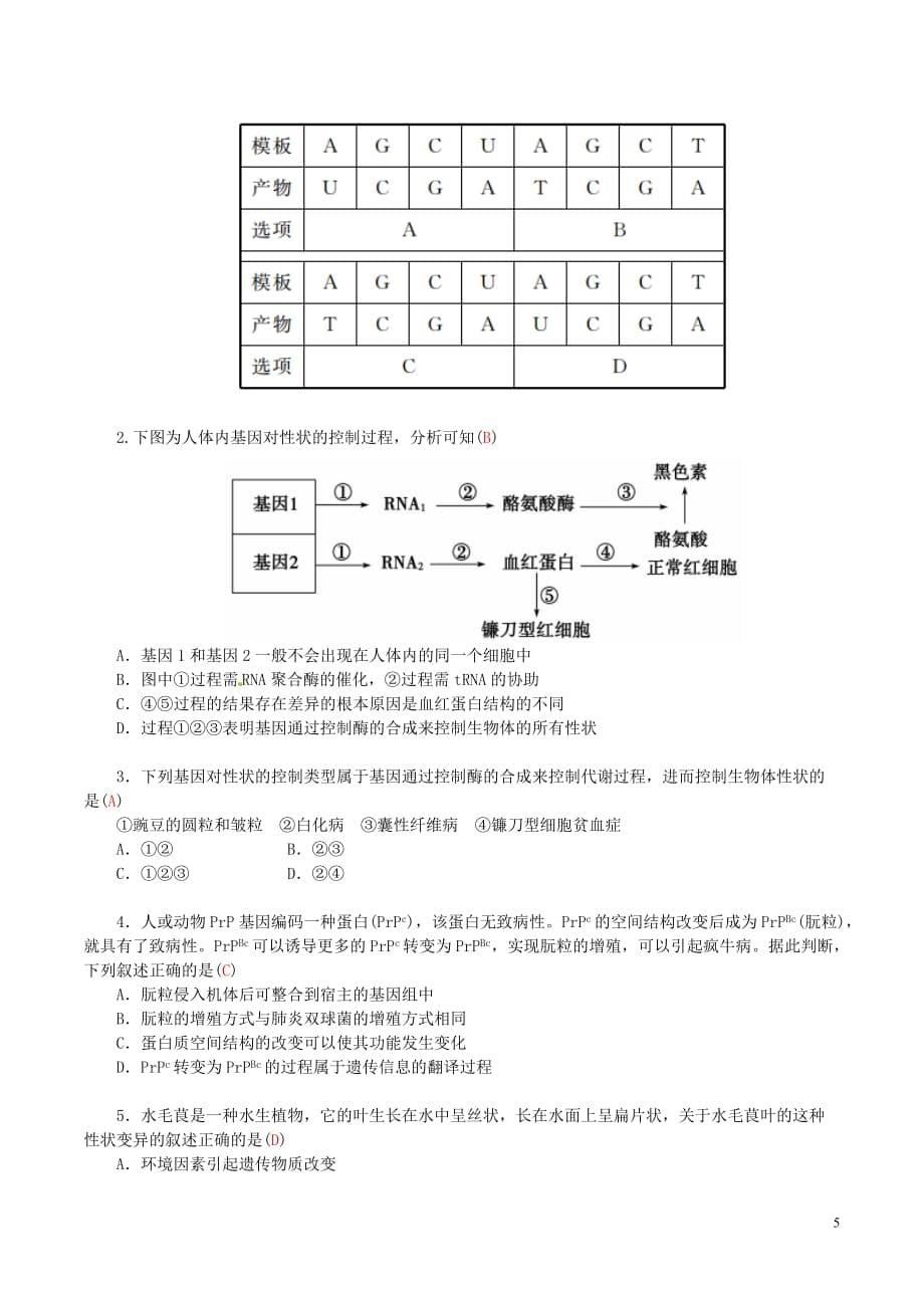 高中生物 第四章 基因的表达 4.2基因对性状的控制学案 新人教版必修2_第5页