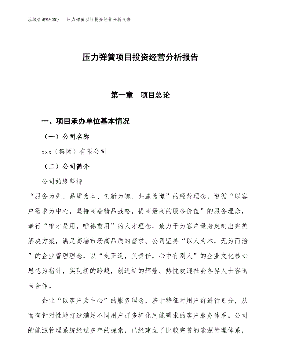 压力弹簧项目投资经营分析报告模板.docx_第1页