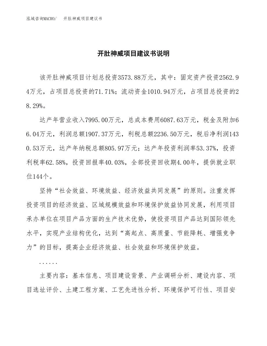 开肚神威项目建议书（可研报告）.docx_第2页