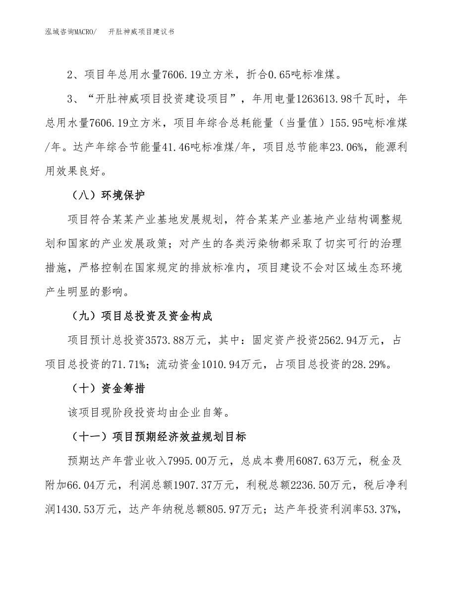 开肚神威项目建议书（可研报告）.docx_第5页