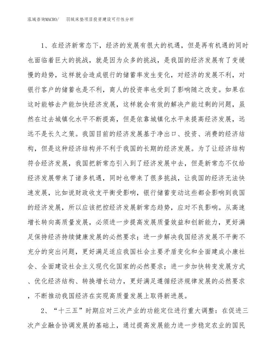 羽绒床垫项目投资建设可行性分析.docx_第5页