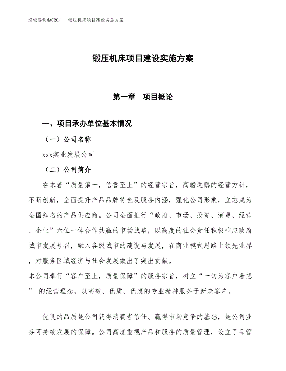 锻压机床项目建设实施方案（模板）_第1页