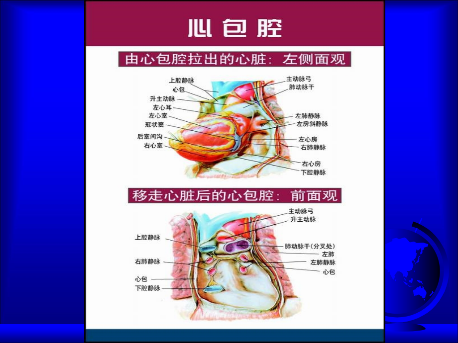 心包疾病、心脏肿瘤 2015年_第3页