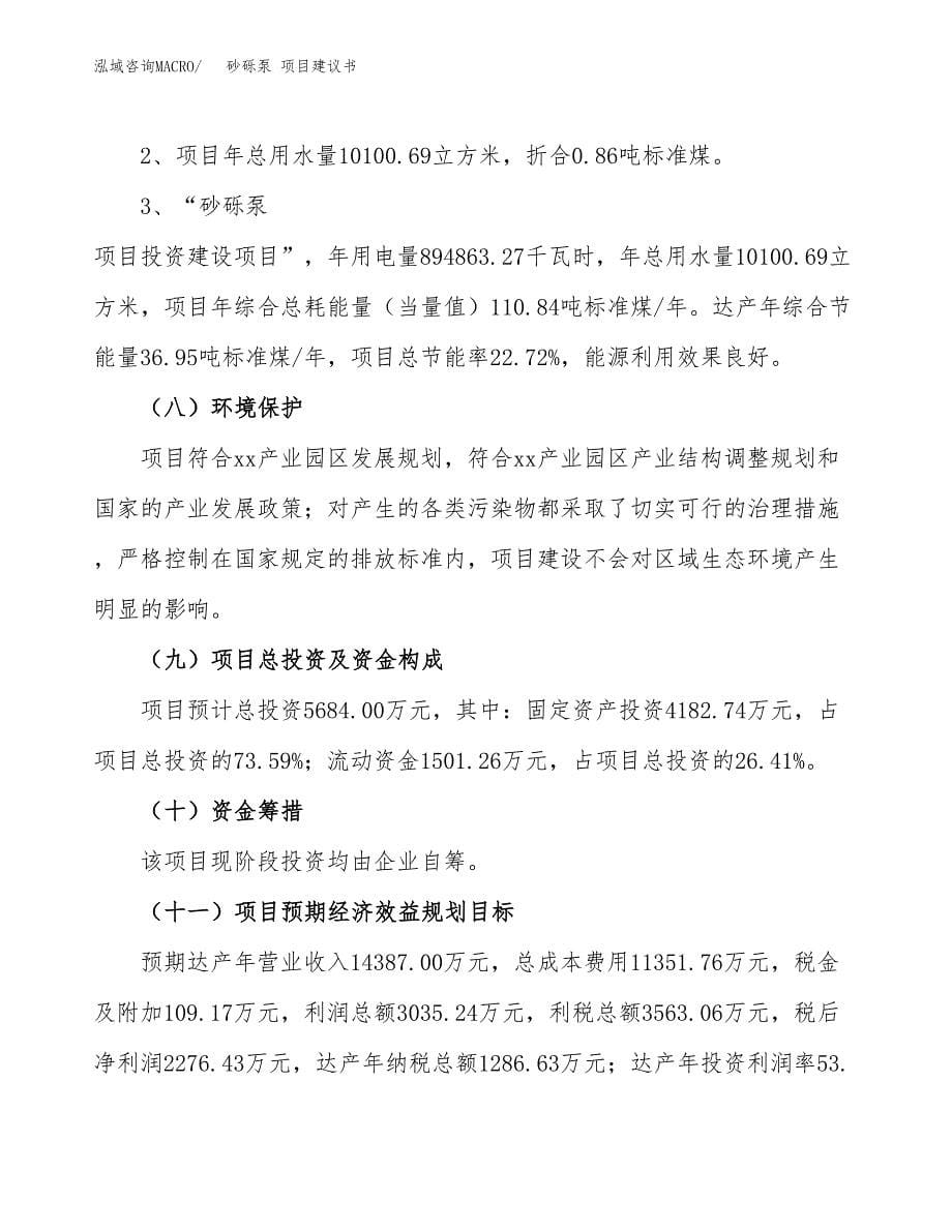 砂砾泵 项目建议书（可研报告）.docx_第5页