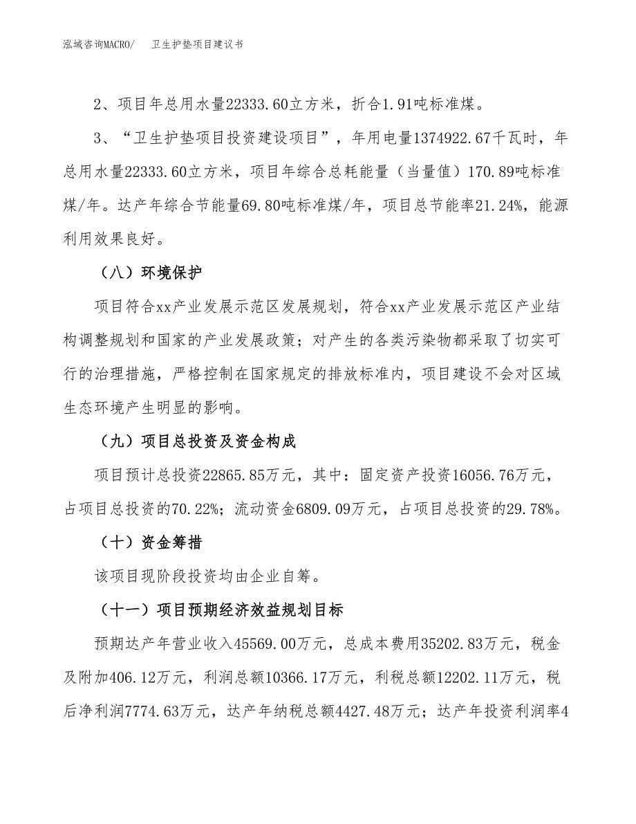 卫生护垫项目建议书（可研报告）.docx_第5页