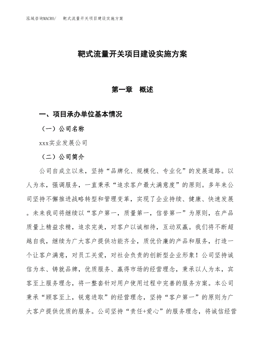 靶式流量开关项目建设实施方案（模板）_第1页