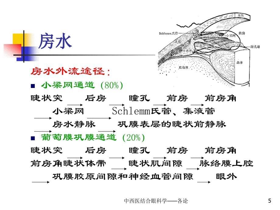 青光眼课件._第5页