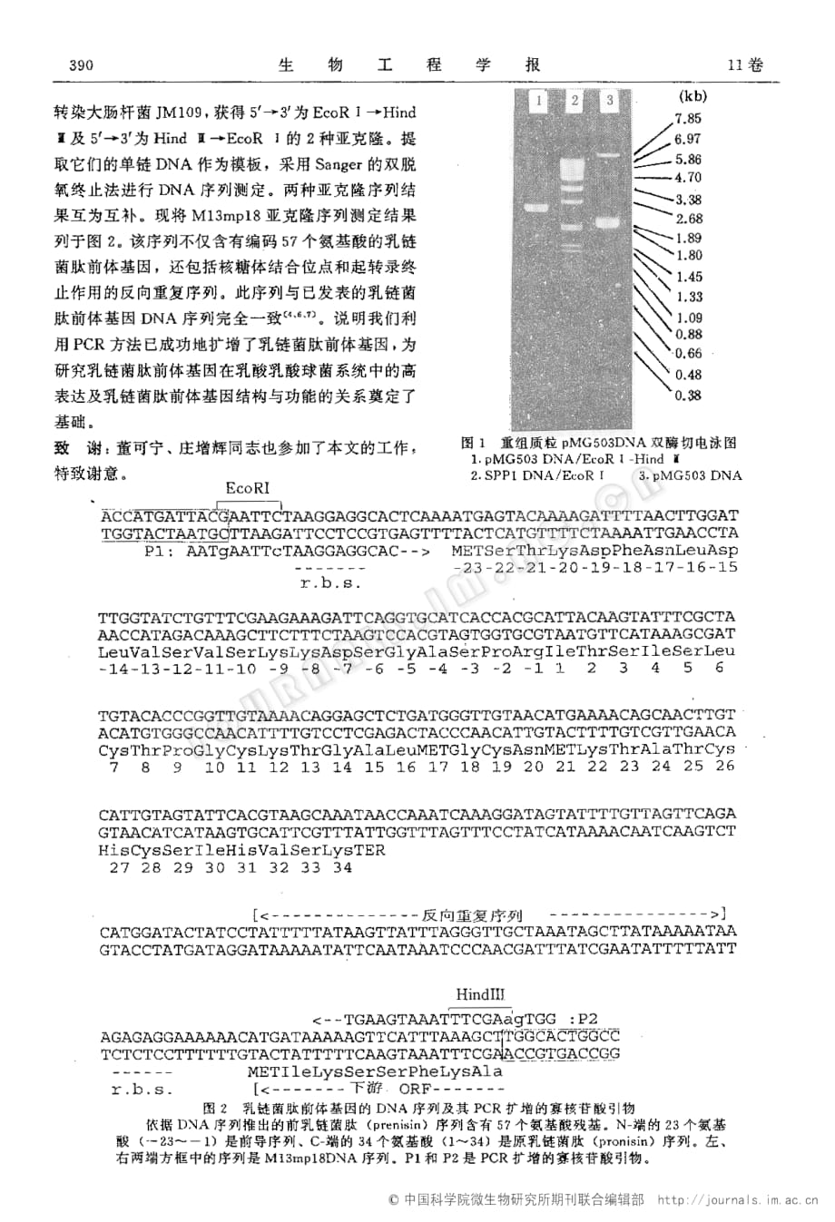 利用PCR技术克隆乳链菌肽前体基因_第2页