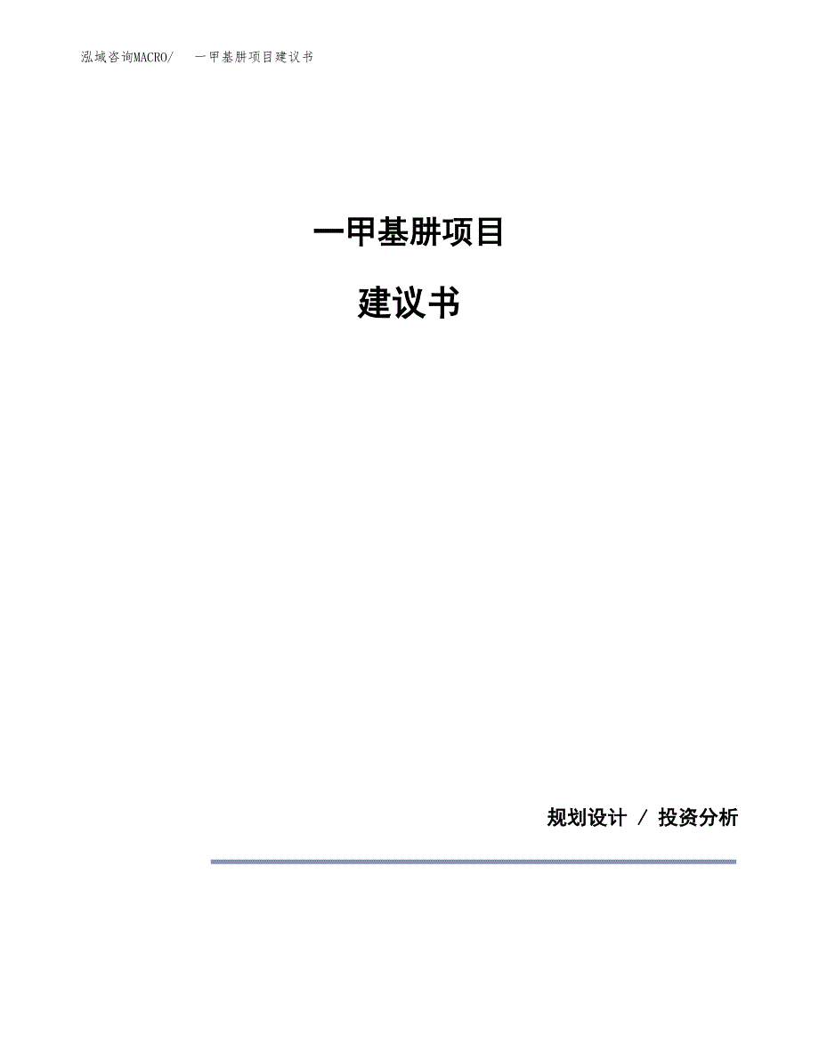 一甲基肼项目建议书（可研报告）.docx_第1页