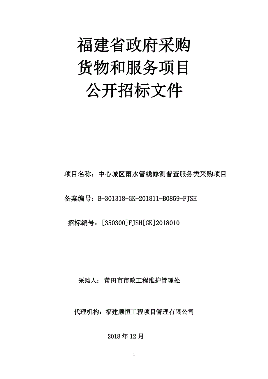 中心城区雨水管线修测普查服务类采购项目招标文件_第1页