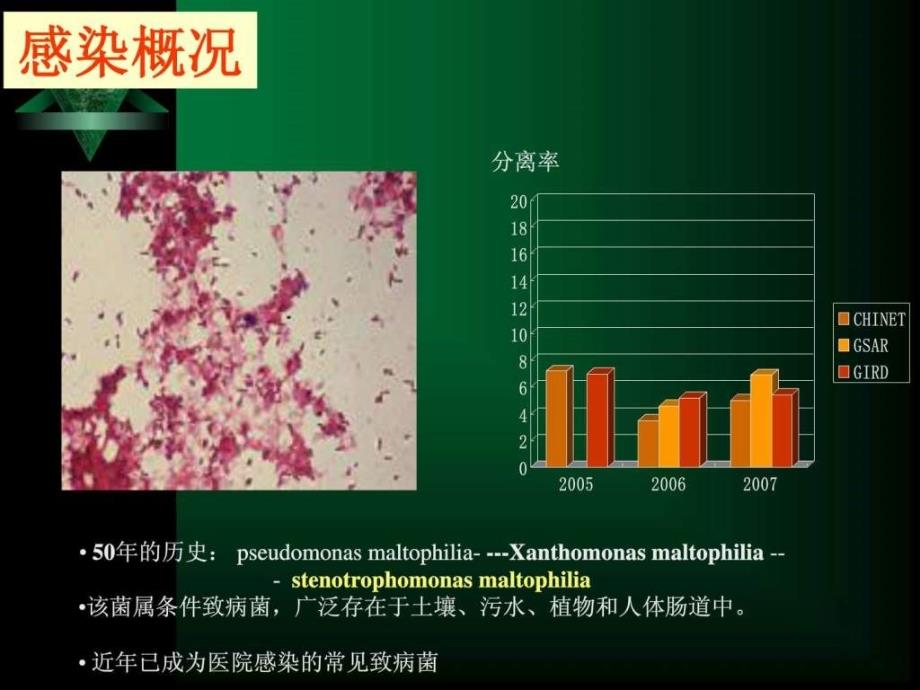 嗜麦芽窄食单胞菌的基础和临床进展._第3页