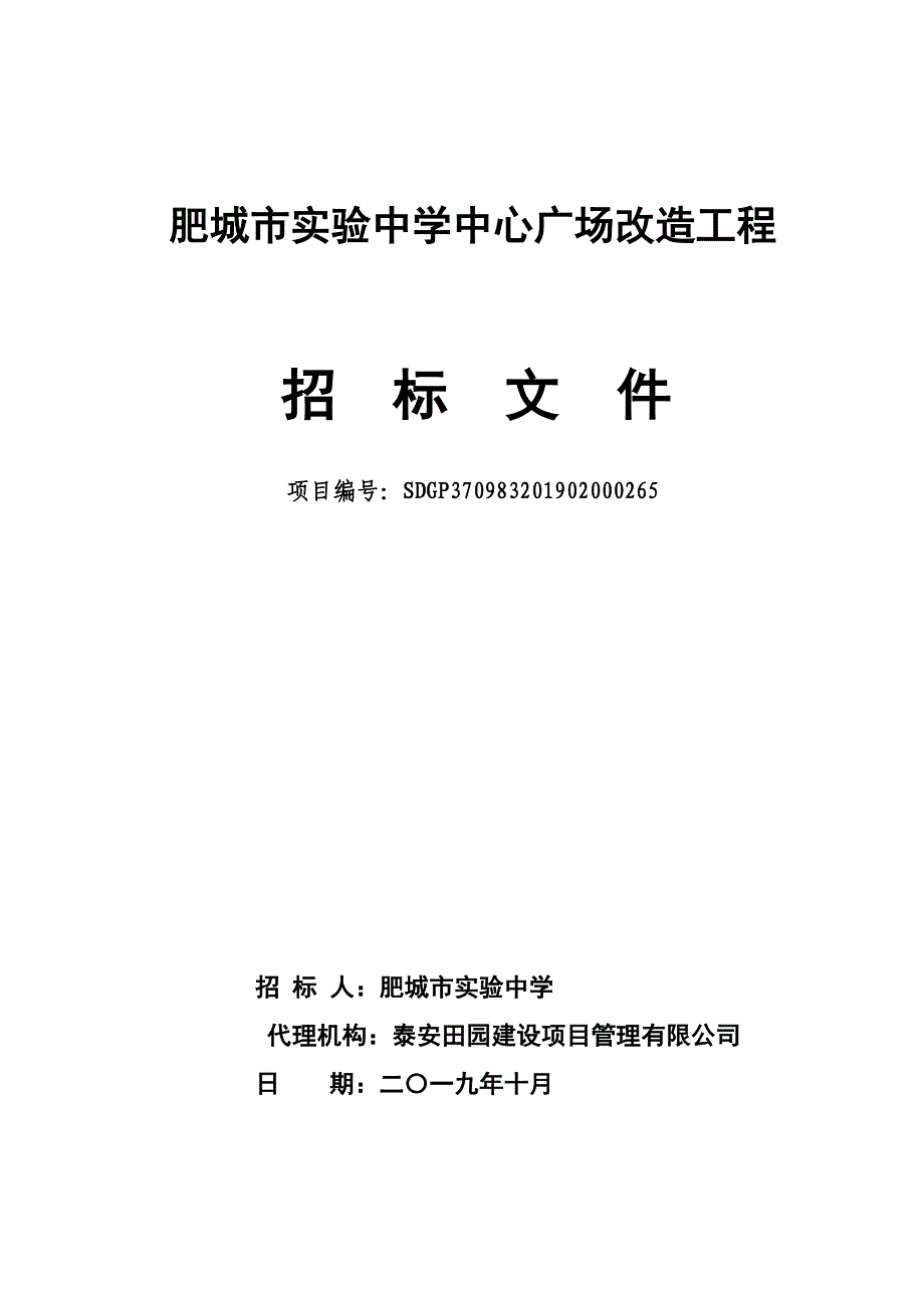 肥城市实验中学中心广场改造工程招标文件_第1页