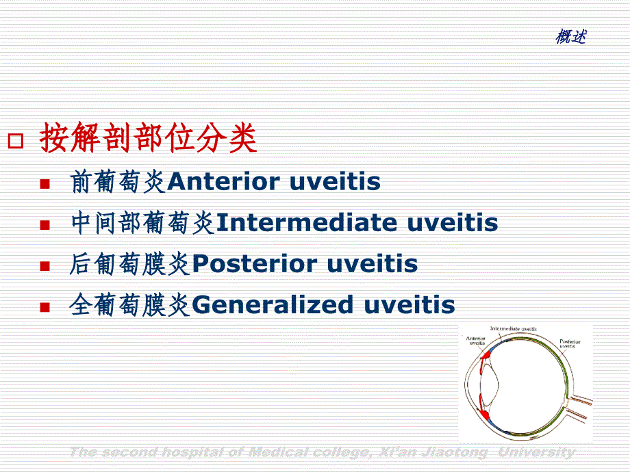 葡萄膜炎Uveitis_第4页