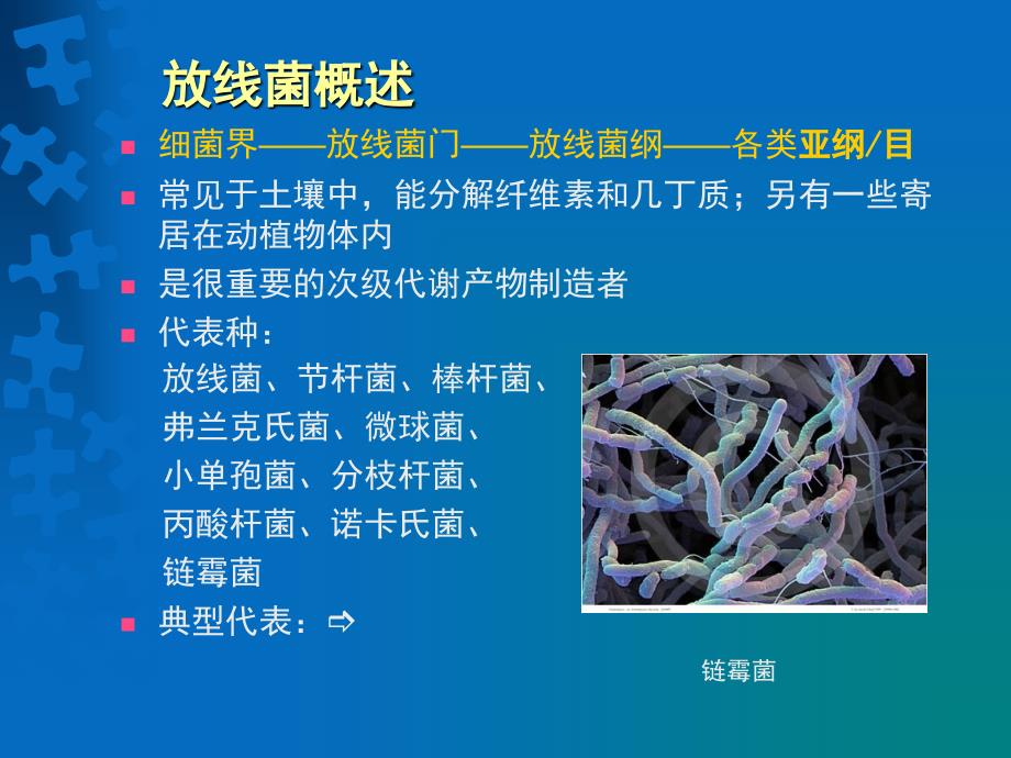 周静_海洋放线菌_生物化学与分子生物学_第4页