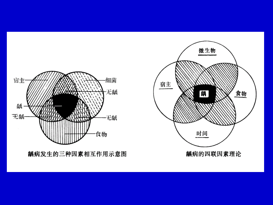 口腔科病人的护理__第4页