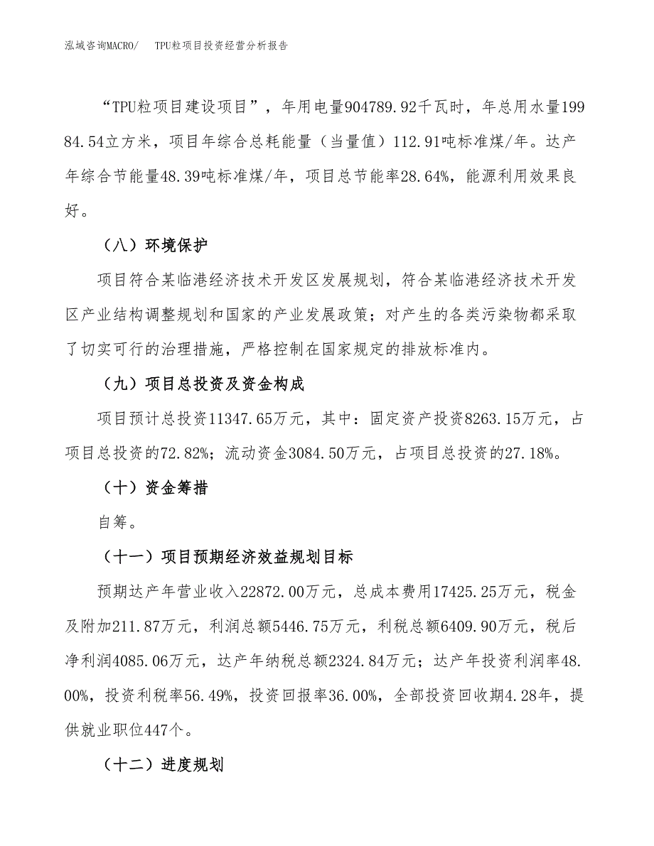 TPU粒项目投资经营分析报告模板.docx_第3页