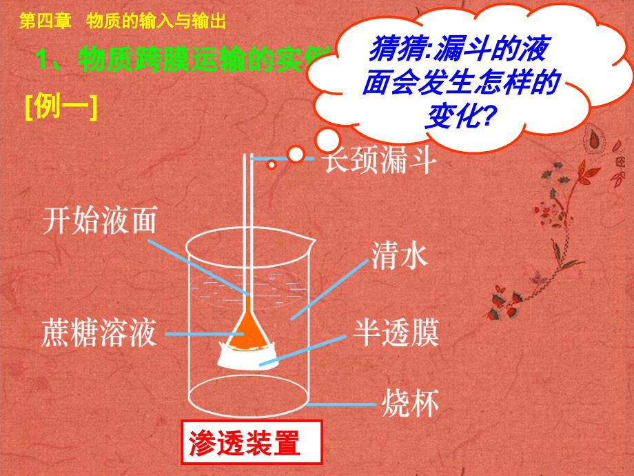 物质的输入和输出一轮复习讲述_第3页