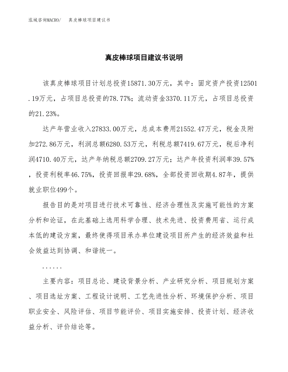 真皮棒球项目建议书（可研报告）.docx_第2页