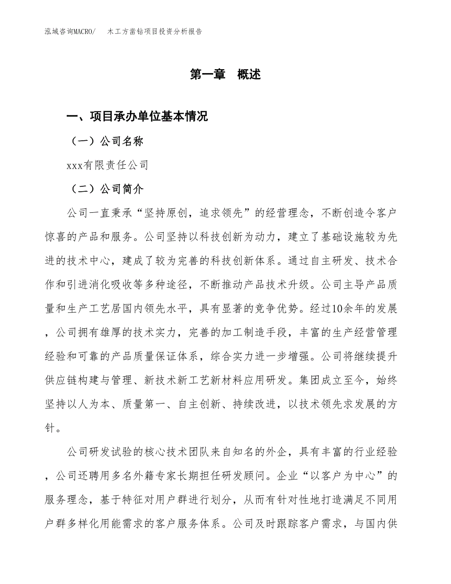 木工方凿钻项目投资分析报告（总投资4000万元）（15亩）_第2页