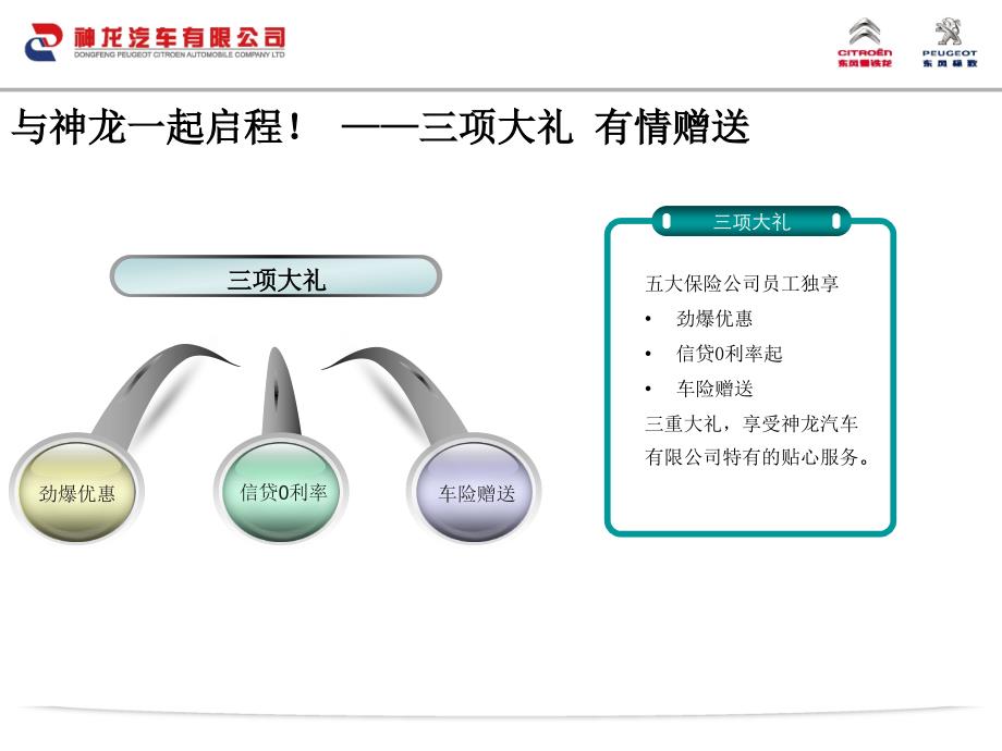 合作保险公司员工车辆团购行动方案综述_第3页